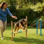 Percorsi agility fai-da-te in giardino: soluzioni low cost e divertenti per ogni spazio